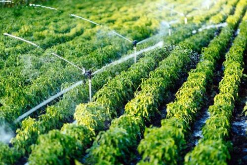 The Well-Known Benefits of an Irrigation System You Need to Know