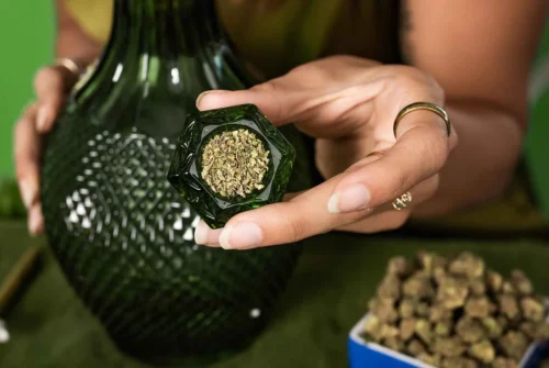 Bulk THCA Flower: A Versatile Addition to Your Cannabis Arsenal